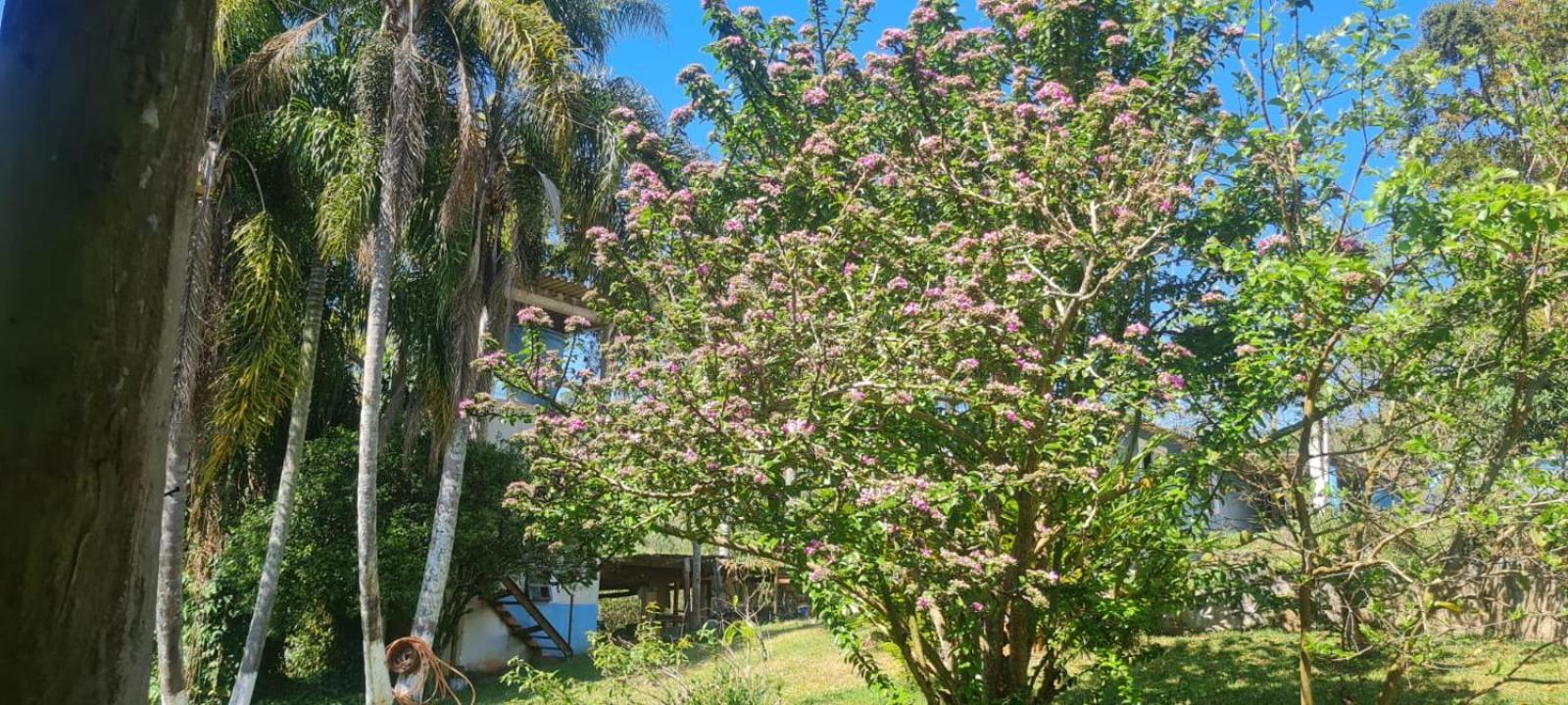 Sitio Ilha Da Madeira São Roque Exterior foto